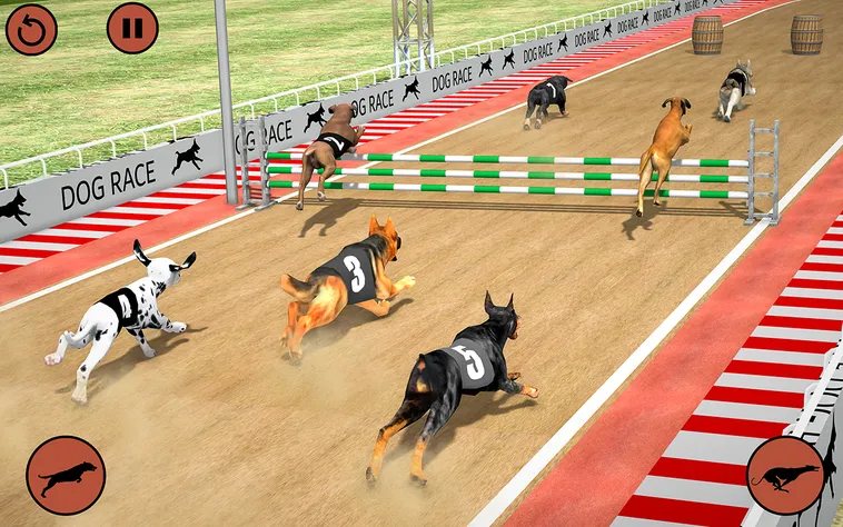 Hướng Dẫn Chơi Game Nhanh Đua Chó Tại QH88 Để Nhận Thưởng Lớn Nhanh Chóng