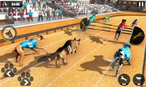 Hướng Dẫn Chơi Game Nhanh Đua Chó Tại QH88 Để Nhận Thưởng Lớn Nhanh Chóng
